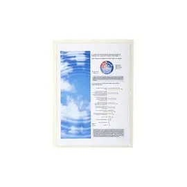 Sachet de 10 pochettes adhésives PVC lisse 14/100e - A4 - Cristal - EXACOMPTA photo du produit