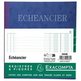 Piqûre 21x19cm échéancier tracé journal 80 pages - EXACOMPTA photo du produit