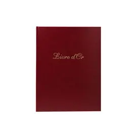 Livre d'or Cuir Alpille 140 pages ivoire - 26x22cm vertical - Rouge - EXACOMPTA photo du produit