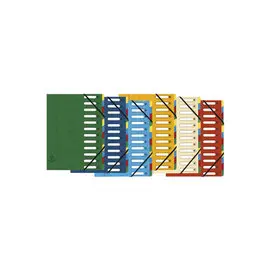Trieur HARMONIKA&reg; &agrave; fen&ecirc;tres avec &eacute;lastiques v&eacute;ritable carte lustr&eacute;e 12 compartiments - Couleurs assorties - EXACOMPTA photo du produit