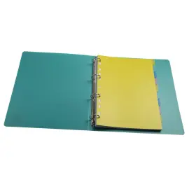 Intercalaires FOREVER YOUNG PP A4 10P photo du produit