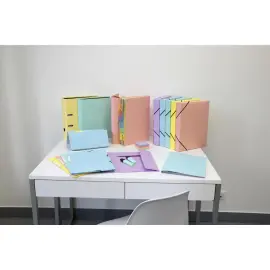 Trieur avec élastiques - 12 compartiments- 34 x 24,5 cm - Coloris pastel - EXACOMPTA photo du produit