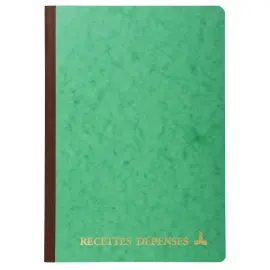 PIQURE RECETTES DEPENSES 29,7X21 photo du produit