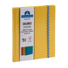 REG IDERAMA 220x170 192P LIGNE JAUNE FSC&reg; photo du produit