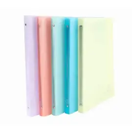 Classeur 4anx 15mm PP A4 Chrom. Pastel photo du produit