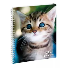 Cahier textes Animaux Chat yx bleux photo du produit