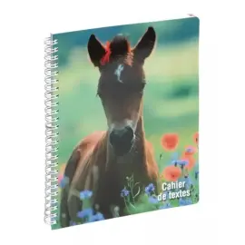 Cahier de textes Animaux Poulain photo du produit