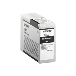EPSON Singlepack Photo Black T850100 photo du produit