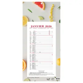 CAL BLOC MENSUEL 16X33,5 FR Agrumes p10 photo du produit