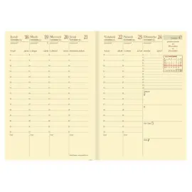 AFFAIRES PREST rep FR Soho rose photo du produit