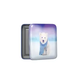 BOITE A BONS POINTS Potes ourson boreal photo du produit