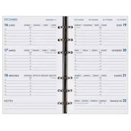 AG MODUL HEBDOPLAN 0915 TD ML rech s/f photo du produit