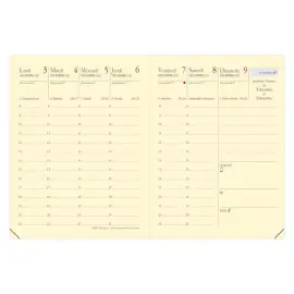 CARLA PREST rep FR Soho beige photo du produit