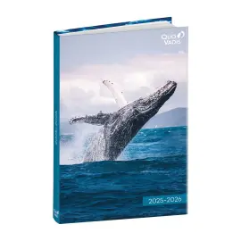 EUROTEXTAGENDA ML Potes sauvages baleine photo du produit