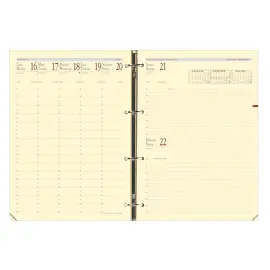 TIMER 29 PRE FR rech s/f photo du produit