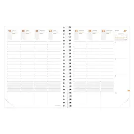 TIME&LIFE XLARGE rep FR rose iris&eacute; Elast photo du produit