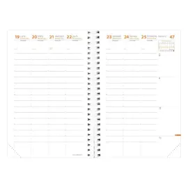 TIME&LIFE LARGE rep FR cuivre Elast photo du produit