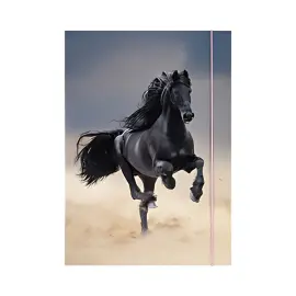 folia Pochette de rangement à dessins BASIC 'Jungle Cuties' photo du produit