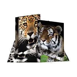 HERMA Chemise élastique 'chevaux', transparent, en PP, A4 photo du produit