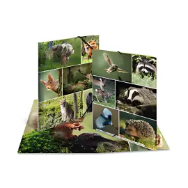 HERMA Chemise à élastiques 'Chevaux dans le pré', carton, A4 photo du produit