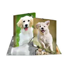 Chemise &eacute;lastique Chiens - en PP - A3 - Herma photo du produit