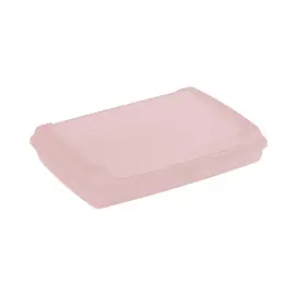 keeeper Bo&icirc;te &agrave; go&ucirc;ter 'luca' Click-Box, mini, nordic-pink photo du produit