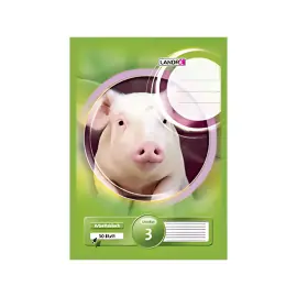 LANDR&Eacute; Bloc scolaire 'pro terra', format A4, lin&eacute;ature 3 photo du produit