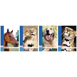 LANDRÉ Bloc à dessin, format A4, 20 pages, 100 g/m2, perforé photo du produit