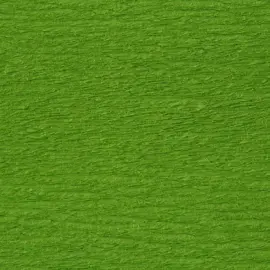 Papier crepon standard 0, 5x2m vert clair 10 feuilles - Clairefontaine photo du produit