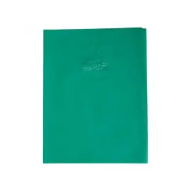 Protege - cahier 24x32cm plastique 22/100e vert - Clairefontaine photo du produit