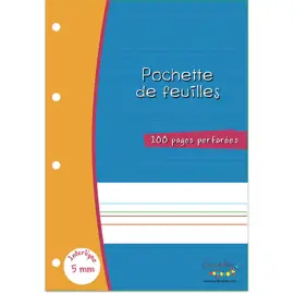 Feuillets mobiles hamelin a4 100 pages double ligne 5mm - Serpodile photo du produit