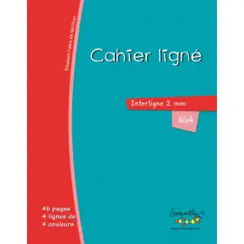 Cahier hamelin a4 48 pages double ligne 2mm niveau 4 - Serpodile photo du produit