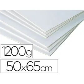 Carton entrecolle clairefontaine mi-fin 50x65cm 1200g blanc gris photo du produit