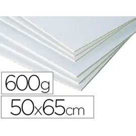 Carton entrecolle clairefontaine mi-fin 50x65cm 600g blanc gris photo du produit