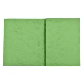PROT&Egrave;GE-CAHIER 24X32 CARTE LUSTR&Eacute;E VERT photo du produit
