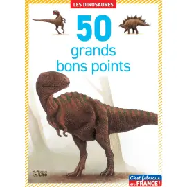 BO&Icirc;TES DE 50 GRANDS BONS POINTS LES DINOSAURES photo du produit