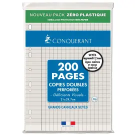200 Copies doubles perfor&eacute;es 7 d&eacute;ficients visuels 210 x 297 Conqu&eacute;rant photo du produit