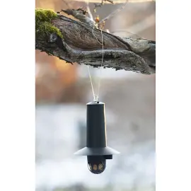 Mangeoire pour oiseaux, noir - Orthex photo du produit
