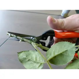 Ciseaux de jardin 'Ciseaux magiques' - Garten Primus photo du produit