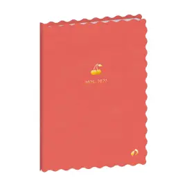 Agenda ann&eacute;e scolaire 2026-2027 Universitaire Color - Semainier Planning Multilingue - Festy - Rose - 13 mois de ao&ucirc;t &agrave; ao&ucirc;t - 10x15 cm - Quo Vadis photo du produit