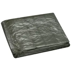 WESTEX B&acirc;che toile avec oeillets, 6 x 8 m, vert, 75 g photo du produit