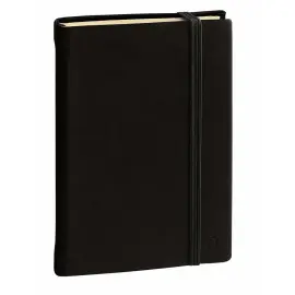 Carnet 29 lign&eacute; Silk - 21x29,7 cm - avec &eacute;lastique - Quo Vadis photo du produit