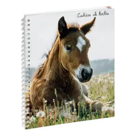 Cahier de textes Animaux Galopin - Exacompta photo du produit