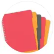 Cahier A4 Managerbook Ligné 6 mm 5x5 80g - Oxford photo du produit