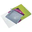 Boîte de classement plastique WOW - Vert - Leitz photo du produit