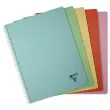 Cahier spirales Linicolor - A4 - 100 pages - 5x5 - Clairefontaine photo du produit