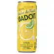 6 Canettes Bulle de fruit Citron Badoit 33 cl photo du produit