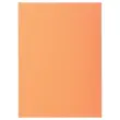 250 Sous-chemises - A4 - Couleur bulle - Fiducial photo du produit