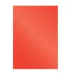 100 Couvertures brillantes pour reliure A4 Glossy - Rouge - Fellowes photo du produit