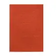 100 Couvertures A4 grain cuir - Rouge - Fellowes photo du produit
